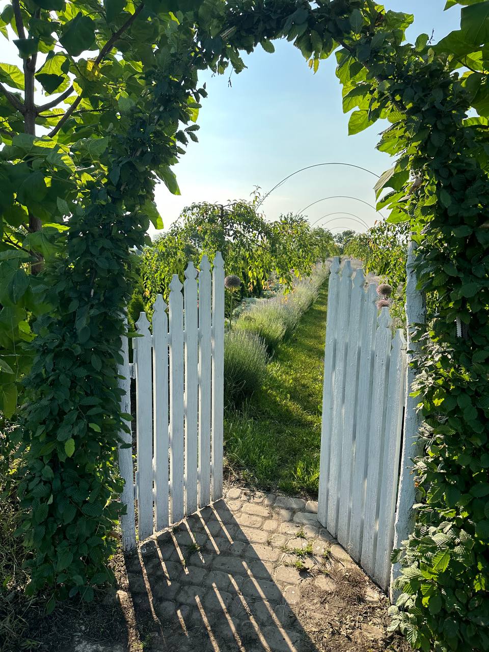 Вхід до розсадника