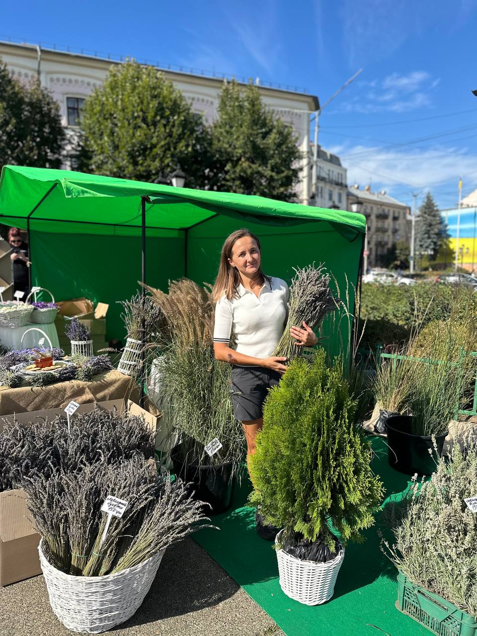 Продаж рослин та лаванди