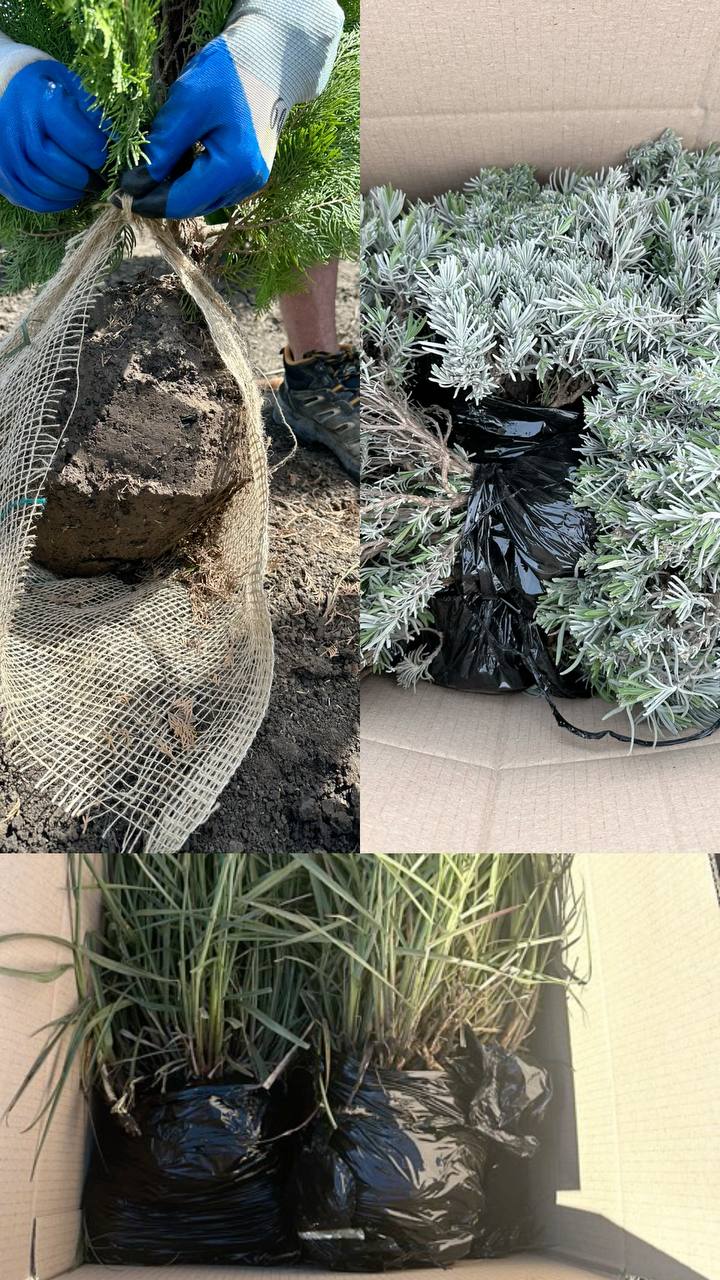 Процес пакування